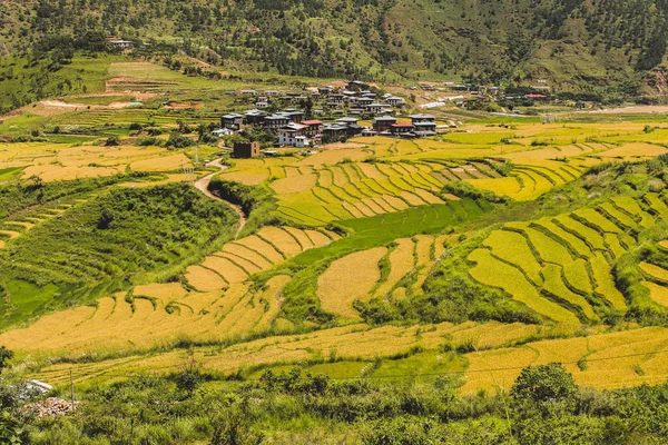 Bhutanese village and terraced field at Punakha, Bhutan — Stock Photo, Image