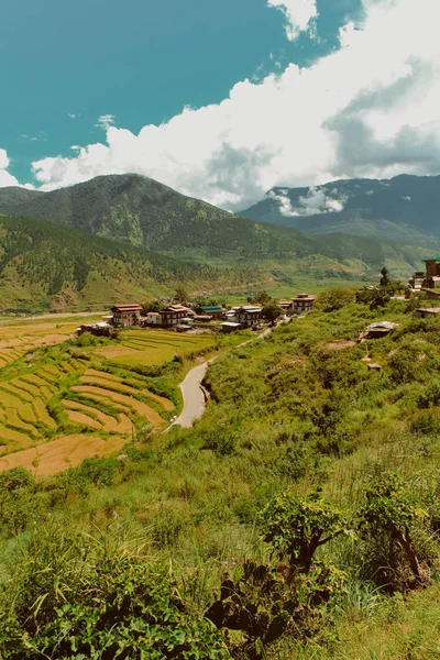 Bhutanese village and terraced field at Punakha, Bhutan — Stock Photo, Image