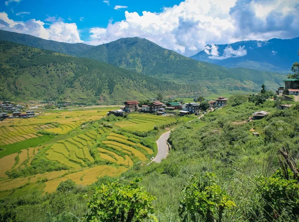 Бутану села і терасами полів на Пунакха, Бутану — стокове фото