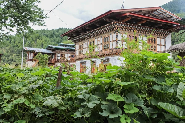 Geleneksel Bhutan mimari Bumthang, Bhutan — Stok fotoğraf