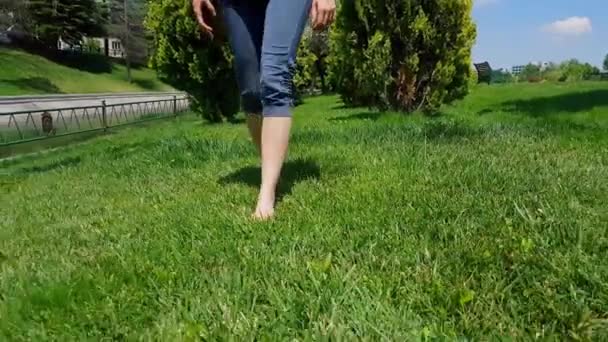 Вид спереду на жіночі ноги в синіх колготках, що йдуть повільно на босоніж на зеленій траві в парку — стокове відео