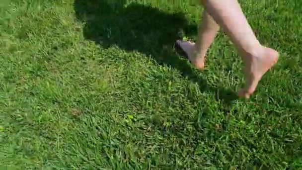 Vue arrière des jambes de femme en collants bleus marchant lentement pieds nus sur de l'herbe verte dans un parc — Video