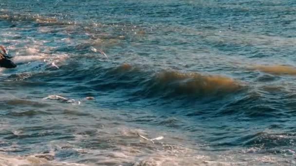 Gabbiani al rallentatore che sorvolano le onde marine durante il tempo tempestoso di giorno a Istanbul . — Video Stock