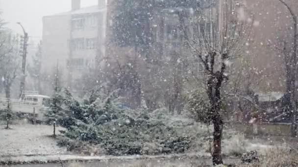 Άποψη έντονης χιονόπτωση κατά τη διάρκεια της ημέρας από το παράθυρο — Αρχείο Βίντεο