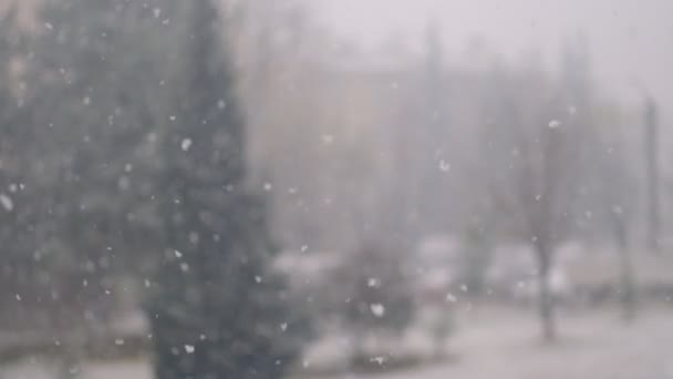 Uitzicht op zware sneeuwval overdag door het raam — Stockvideo