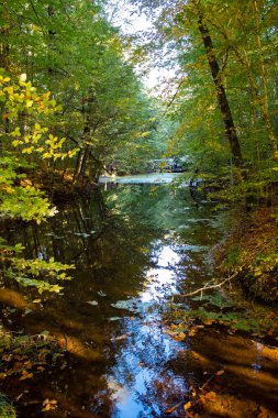 Bolu 'daki Yedigoller Ulusal Parkı Derin Gölü' nde dinlenme alanı.