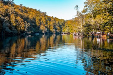 Bolu, Yedigoller Ulusal Parkı 'ndaki Buyuk Gölü' nün dinlenme alanı.