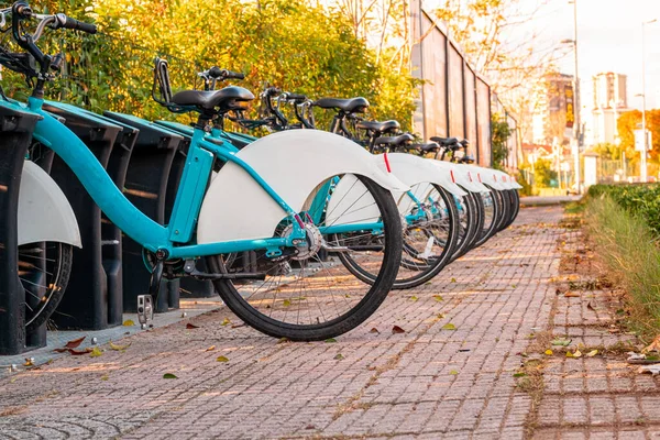 Wypożyczalnia Rowerów Parku Miejskim Światłem Słonecznym Koncepcja Transportu Publicznego — Zdjęcie stockowe