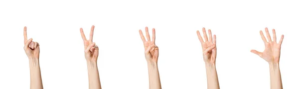 Vrouwelijke Handen Tellen Van Een Tot Vijf Geïsoleerde Witte Achtergrond — Stockfoto