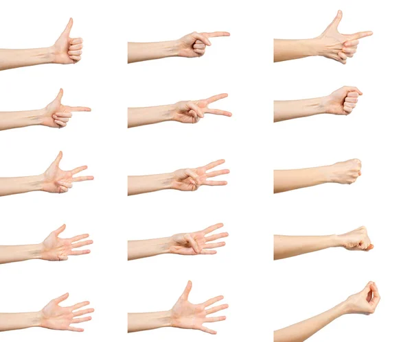 Multiple Caucasian Female Hand Gestures Isolated White Background Set Multiple — Stock Photo, Image
