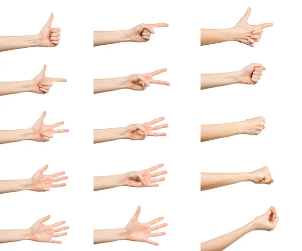 Multiple Caucasian Female Hand Gestures Isolated White Background Set Multiple Royalty Free Stock Images