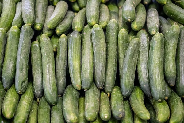 Top View Fresh Organic Cucumbers Harvested Farmer Garden Sold Local — Stock Photo, Image