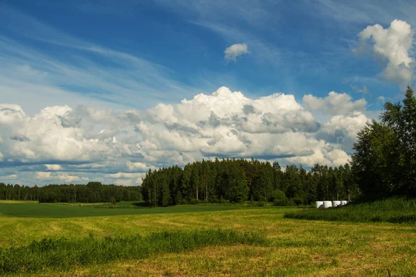 Landelijke Omgeving Met Een Mooi Veld Bos Blauwe Hemel Met — Stockfoto