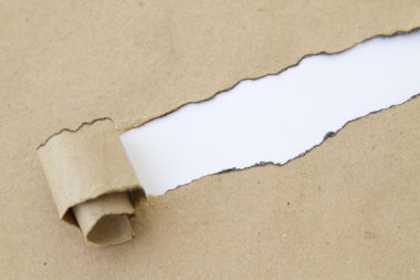 karton beyaz delik üzerinde kopya alanı