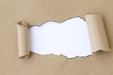karton beyaz delik üzerinde kopya alanı