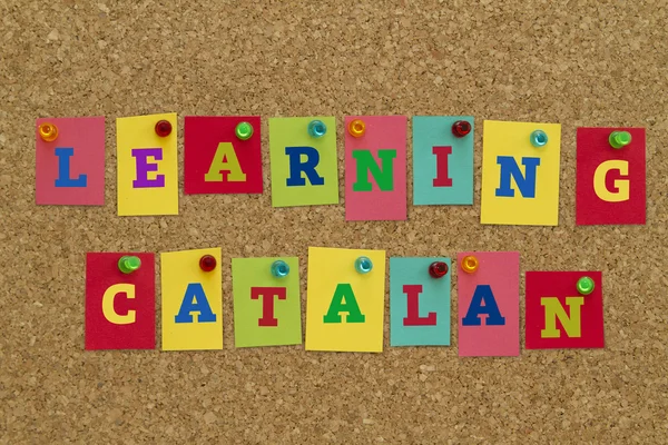 Aprendizagem Inscrição Catalan Notas Pegajosas Coloridas Fixadas Placa Cortiça — Fotografia de Stock