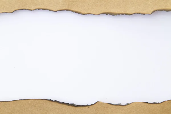 karton beyaz delik üzerinde kopya alanı