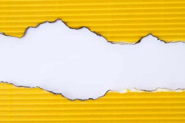 karton beyaz delik üzerinde kopya alanı