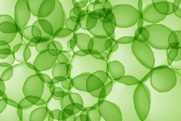 Verde cerchio sovrapposizione colore astratto sfondo — Foto Stock
