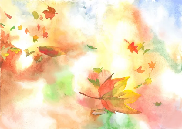 Background autumn leaves — Stock Photo, Image