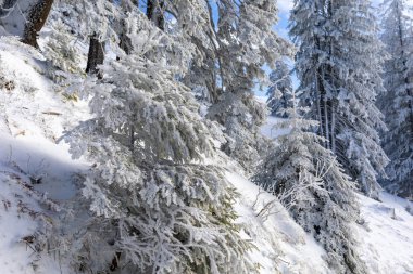Wallberg am Tegernsee, Bayern