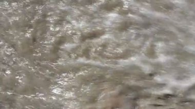 Kadın ayakları deniz kıyısında tatil, plaj rahatlatıcı kadın