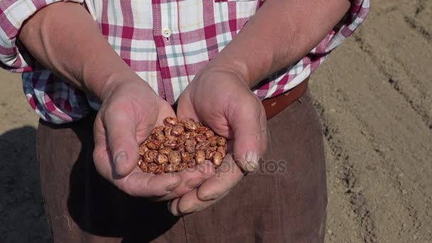 Sementes em mãos de agricultores, saúde alimentar biológica e símbolo de recursos — Vídeo de Stock