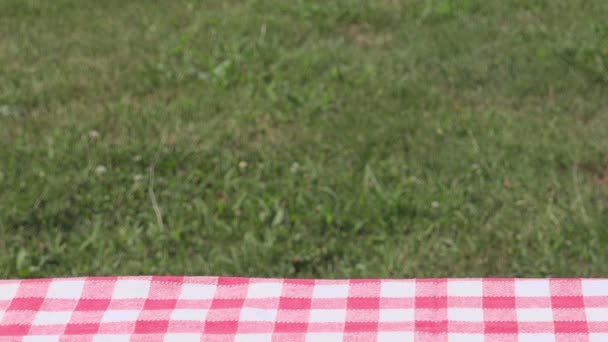 Vattenmelon hjärtat frukt med gräs, sommar kärlek och hälsa — Stockvideo