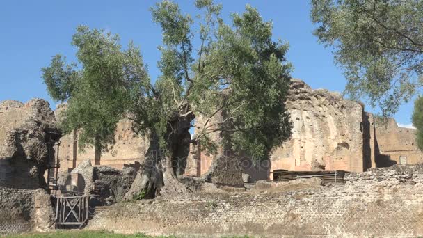 Baño termal en sitio arqueológico en Villa Adriana, Roma Italia — Vídeo de stock