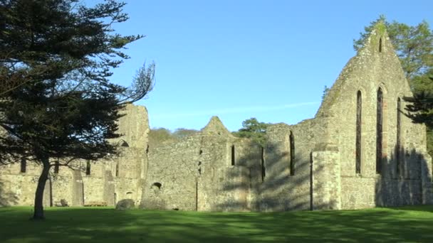 Šedá opatství středověkého kláštera, budova ruiny v Severním Irsku Newtownards — Stock video