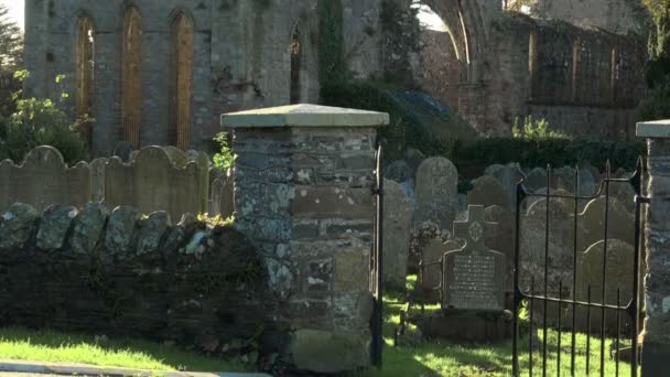 Кладбище Серого аббатства возле руин средневекового монастыря в Ньютаундс Северной Ирландии — стоковое видео