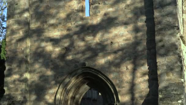 Fachada de la abadía gris del monasterio medieval en ruinas en Irlanda del Norte, Newtownards — Vídeo de stock