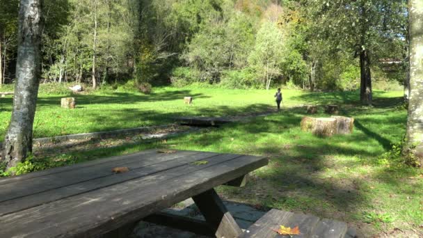 Female Hiker Trekking Field Picnic Area Tourist Sunny Autumn Day — Stock Video