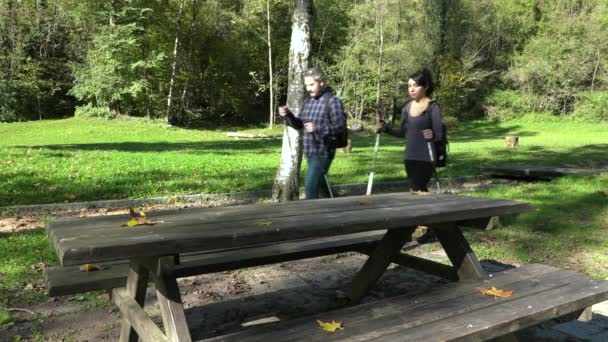 男人和女人在秋天和吃点心时用木棍在木头上徒步旅行 高加索情侣徒步旅行附近的野餐区 游客坐在森林里的桌子 户外运动与自然接触 — 图库视频影像