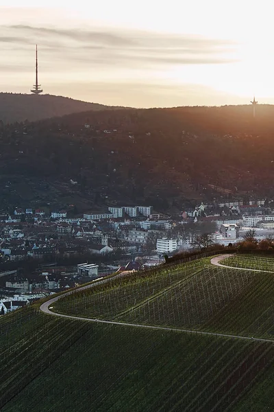 Вид на идиллические виноградники и фруктовые сады Штутгарт-Ротенберга Германии — стоковое фото