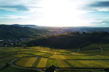 dron, ile DJI indeks işlem ile üst tepeden üzüm bağları peyzaj