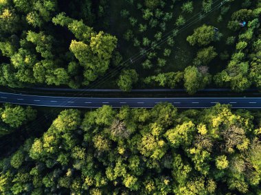 sokak dron havadan görünümü, manzara ile üstten büyük ağaçlar arasında