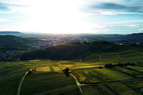 dron, ile DJI indeks işlem ile üst tepeden üzüm bağları peyzaj