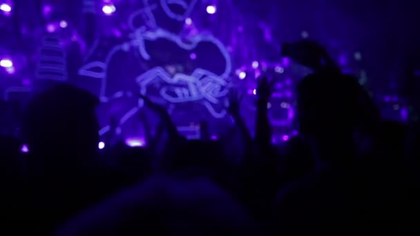 Grote muziek Show met opgewonden menigte — Stockvideo