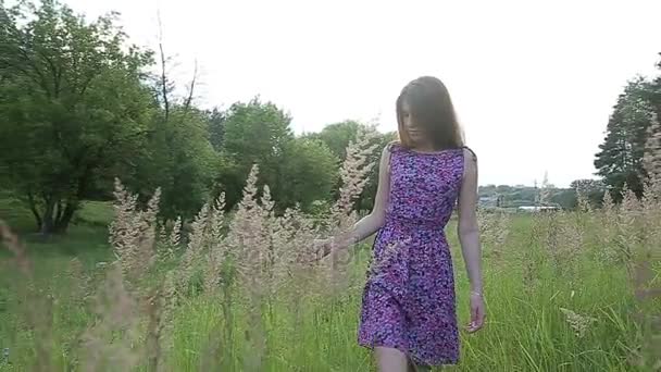 夏の日の屋外の時間を費やして幸せな若い母 — ストック動画