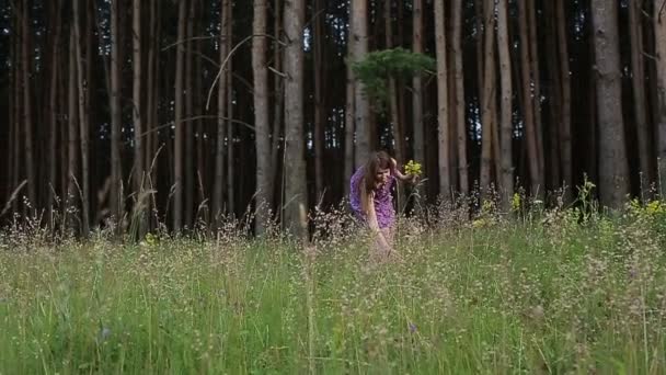 Jolie jeune fille cueillette des fleurs dans les bois au lever du soleil — Video