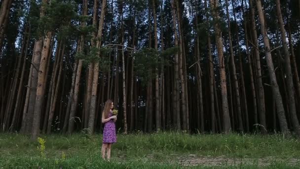 Femme dans la forêt — Video