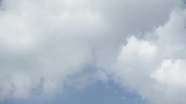 Mulher feliz no campo de primavera verde contra o céu azul. Conceito de liberdade e felicidade — Vídeo de Stock