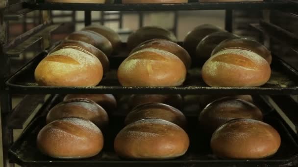 Хліб фабричного виробництва — стокове відео