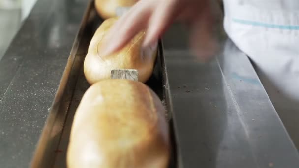 Il lavoratore mette i rotoli appena sfornati sul trasportatore per l'imballaggio ermetico — Video Stock