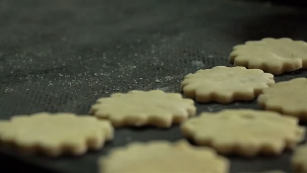 Biscoito espalhado no forno, close-up — Vídeo de Stock