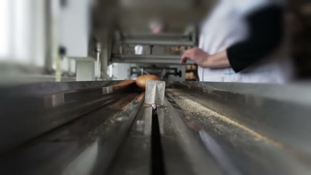 Packaging of bread in plastic on a conveyor belt. POV — Stock Video