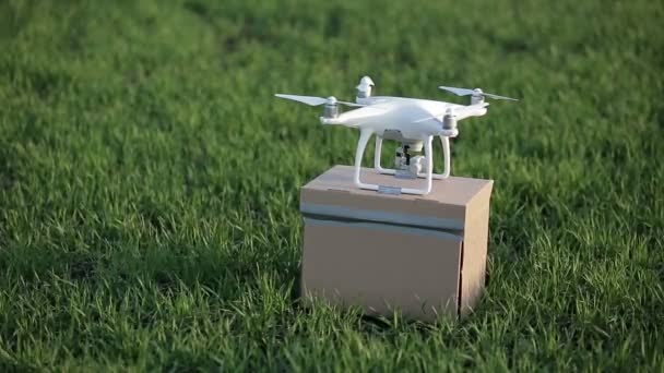 Szállítási drone lezuhant — Stock videók