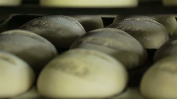 Proces van bakken brood close-up — Stockvideo