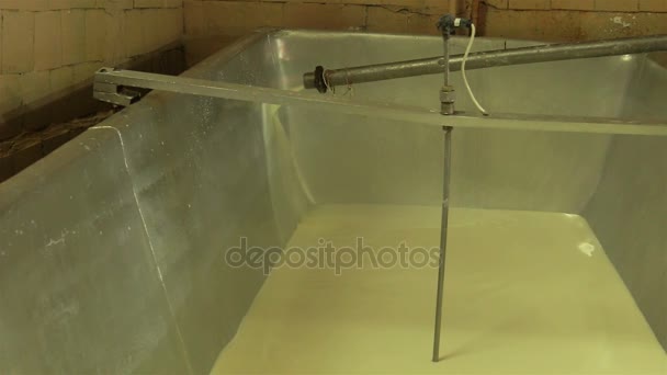 Поток молока в резервуар — стоковое видео